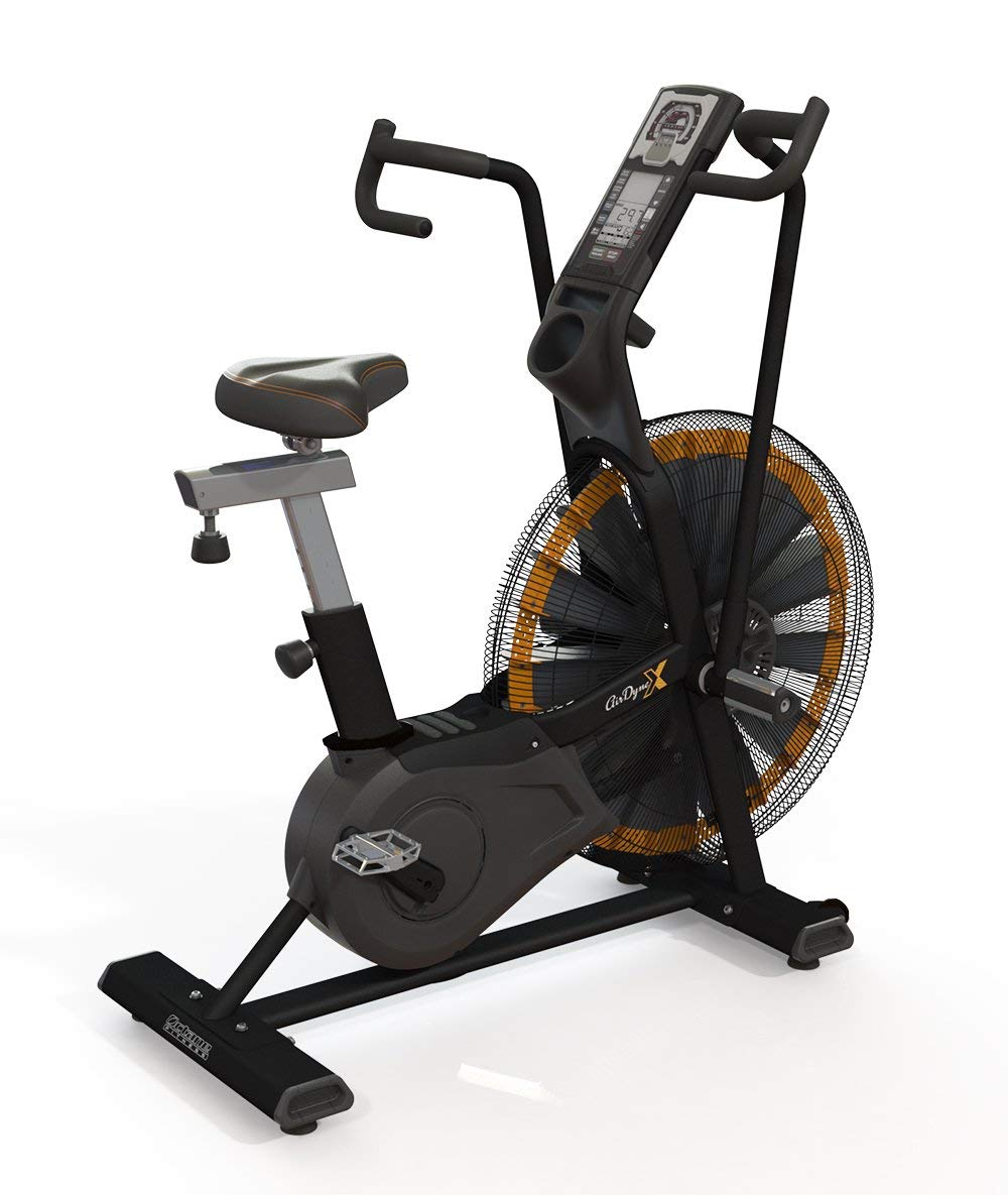 schwinn airdyne classic